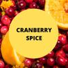 Black Canyon Cranberry Spice Scented Argan Oil Shampoo Conditioner and Hair Detangler Set, 16 Oz view 2