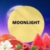 Black Canyon Moonlight Scented Argan Oil Shampoo Conditioner and Hair Detangler Set, 16 Oz view 2