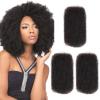 Human Braiding Hair Afro Kinky Curly Bulk Human Hair Extensions - Human Hair Bundles for Boho Braids, Dreadlock Extensions, Marley Twist Braiding Hair, Spring Twist, Cuban Twist, Kinky Curly view 1