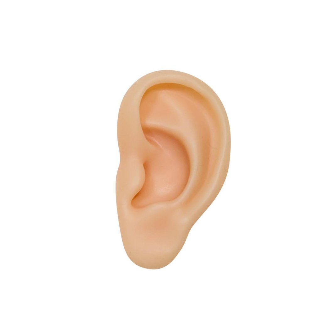 Vnmcry Fake Ear Piercing Practice Silicone Artificial Ear Realistic Flexible Body Parts Simulated 3D Ears Mannequin for Earring Jewelry Display Party Cosplay (Left Ear)