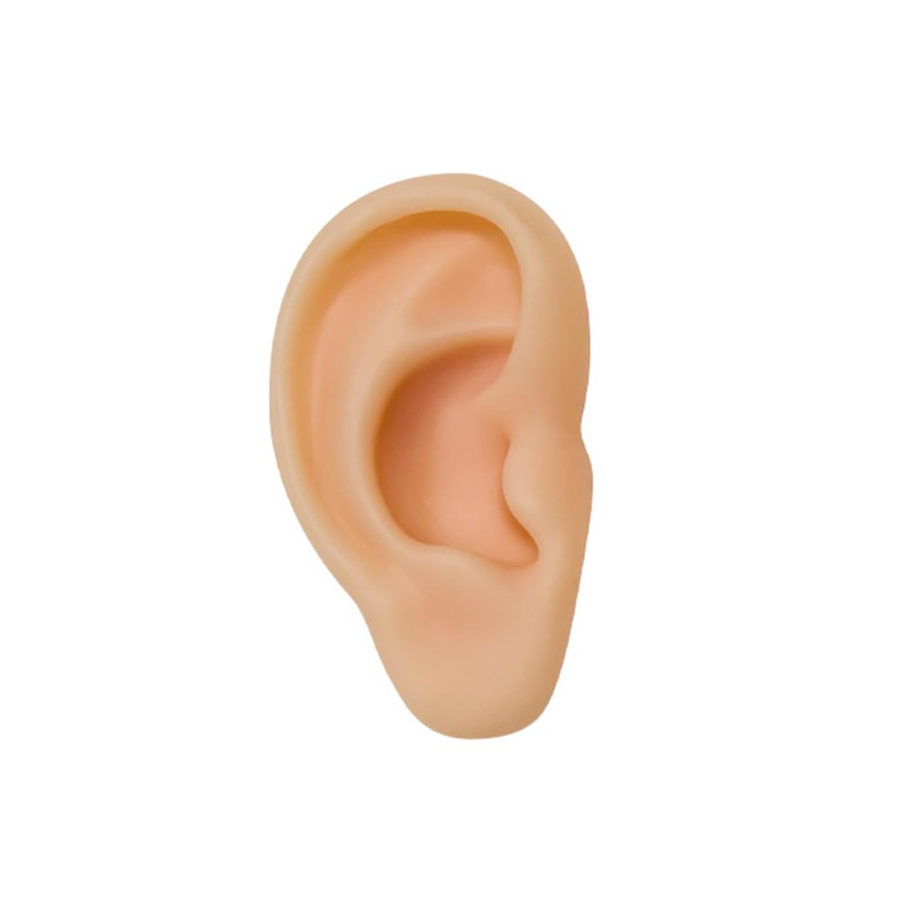 Vnmcry Fake Ear Piercing Practice Silicone Artificial Ear Realistic Flexible Body Parts Simulated 3D Ears Mannequin for Earring Jewelry Display Party Cosplay (Right Ear)