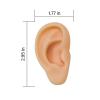 Vnmcry Fake Ear Piercing Practice Silicone Artificial Ear Realistic Flexible Body Parts Simulated 3D Ears Mannequin for Earring Jewelry Display Party Cosplay (Right Ear) view 2