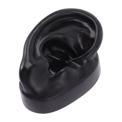 Realistic Silicone Ear Model for Piercing Practice and Stud Display