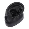 Realistic Silicone Ear Model for Piercing Practice and Stud Display view 1
