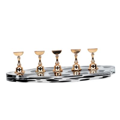 Manicure Practice Stand with 5 Nail Holders for Training Display