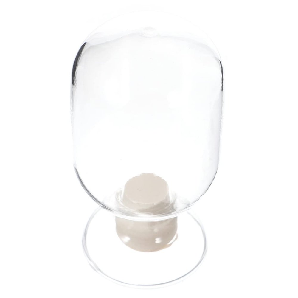 Cabilock Glass Cloche Jar Lids Vintage Style Jar for Match Potion Storage Display