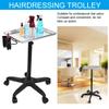 Depisuta Rolling Salon Tray, Aluminum Alloy Hair Salon Trolley with Wheels Adjustable Height Metal Hairstylist Tray Rolling Cart Removable Salon Trolley Cart for Clinic, Spa and Barber view 4