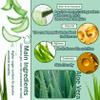 JunKuJK 99% Purity Aloe Vera Gel - Hydrating Aloe Vera Gel for Face and Skin,No Sticky Moisturizing Aloe Gel(5 pcs) B view 4