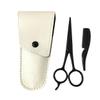 Healeved Beard and Mustache Scissors Set Comb Portable Tool Kit for Grooming Sturdy Stainless Steel for Clean Cuts view 1