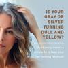 Just Nutritive Silver & Gray Hair Perfecting Duo | Hydrating Gray Hair Shampoo & Anti-Brass Purple Shampoo 16 & 8 Fl Oz. view 2