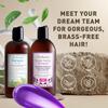 Just Nutritive Silver & Gray Hair Perfecting Duo | Hydrating Gray Hair Shampoo & Anti-Brass Purple Shampoo 16 & 8 Fl Oz. view 3