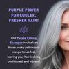 Just Nutritive Silver & Gray Hair Perfecting Duo | Hydrating Gray Hair Shampoo & Anti-Brass Purple Shampoo 16 & 8 Fl Oz. view 4