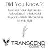 Transcend Cosmetics Detoxifying Nighttime Cream view 2