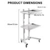 Rolling Salon Tray Wheels, Stainless Steel Rolling Cart - Modern simply Pallet Design Utility Cart Wheels for Living Room, Bathroom, Kitchen, Bedroom view 4