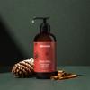 Aleavia  Balsam Winter Prebiotic Hand Wash, Balsam Fir and Cinnamon Bark Scent  Microbiome Friendly Hand Wash  Vegan, Plant-Based Formula Packed with Prebiotics  8 oz. view 4