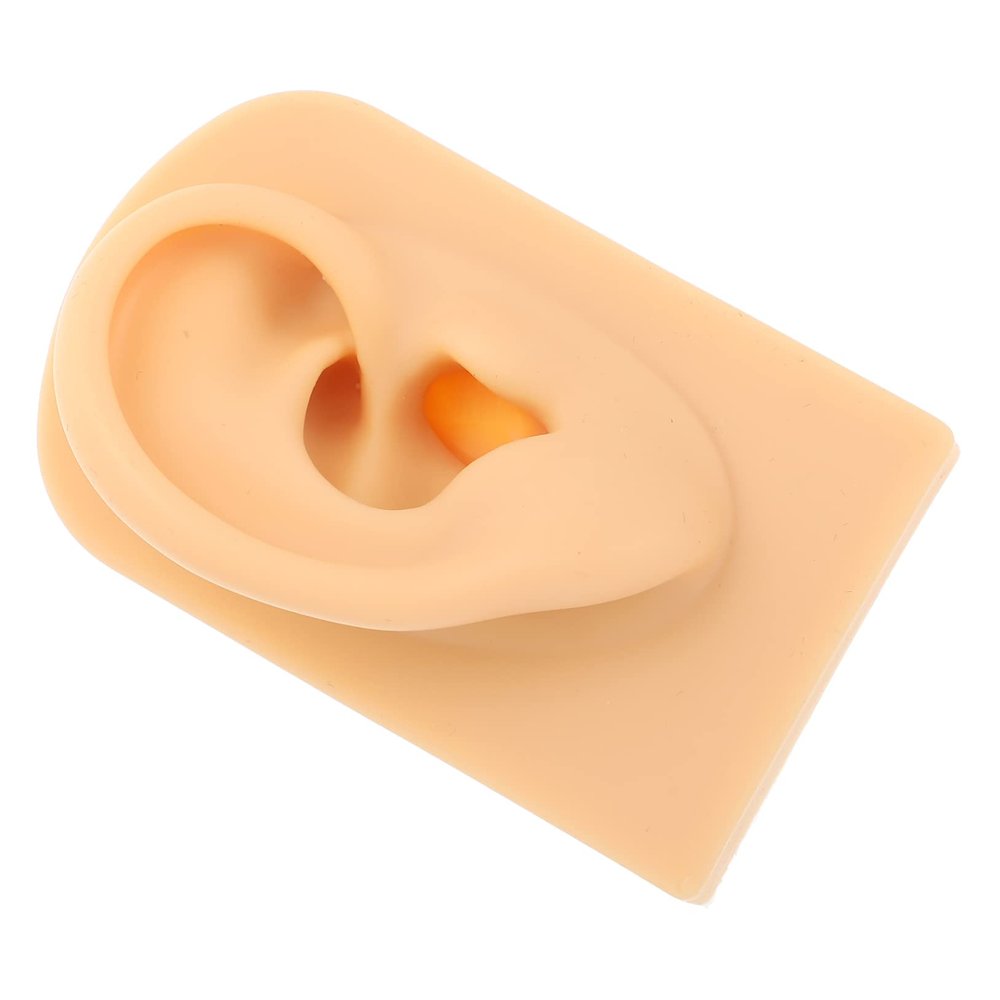 Healeved Silicone Ear Presentation Model Realistic Part for Piercing Practice Teaching Prop Detailed Internal Structure for Observation and Learning