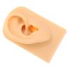 Healeved Silicone Ear Presentation Model Realistic Part for Piercing Practice Teaching Prop Detailed Internal Structure for Observation and Learning view 1