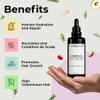 Sebastian Diaz Rosemary Hair Oil Scalp Treatment inspired by THE INNATE LIFE, 100ml 3.4 fl oz Nourishes and Supports Fuller-Looking Hair with Organic Rosemary Oil view 2