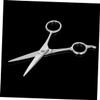 Baluue Stainless Steel Beard and Eyebrow Scissors Practical Grooming Tool for Men Hairdressing Accessory for Daily Use Silver view 2