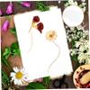 OHPHCALL 6pcs Dried Flower Pressing Blotter Paper Absorbent Reusable Plant Specimen Tool Diy Craft Supplies for Adults view 3