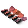 5 Nude 5 in 1 Lipstick 7.5gm - Five Shades in One -long Lasting, Matte Finish - Non Drying Formula With Intense Color Payoff - Compact & Easy to Use view 2