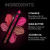 5 in 1 Lipstick 7.5 Gm - Five Shades in One - Moisturizing & Nourishing, Long Lasting, Glossy Finish - Intense Color Payoff - Compact, Glides Smoothly with One-Stroke Application view 3