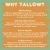 Apothecary Prairie Whipped Tallow Balm (Unscented) - 100% Grass-Fed Beef Tallow and Infused With Organic Sunflower Oil For Total Body Use on Dry Skin, Sunburns, Eczema and Rashes (4oz) view 3