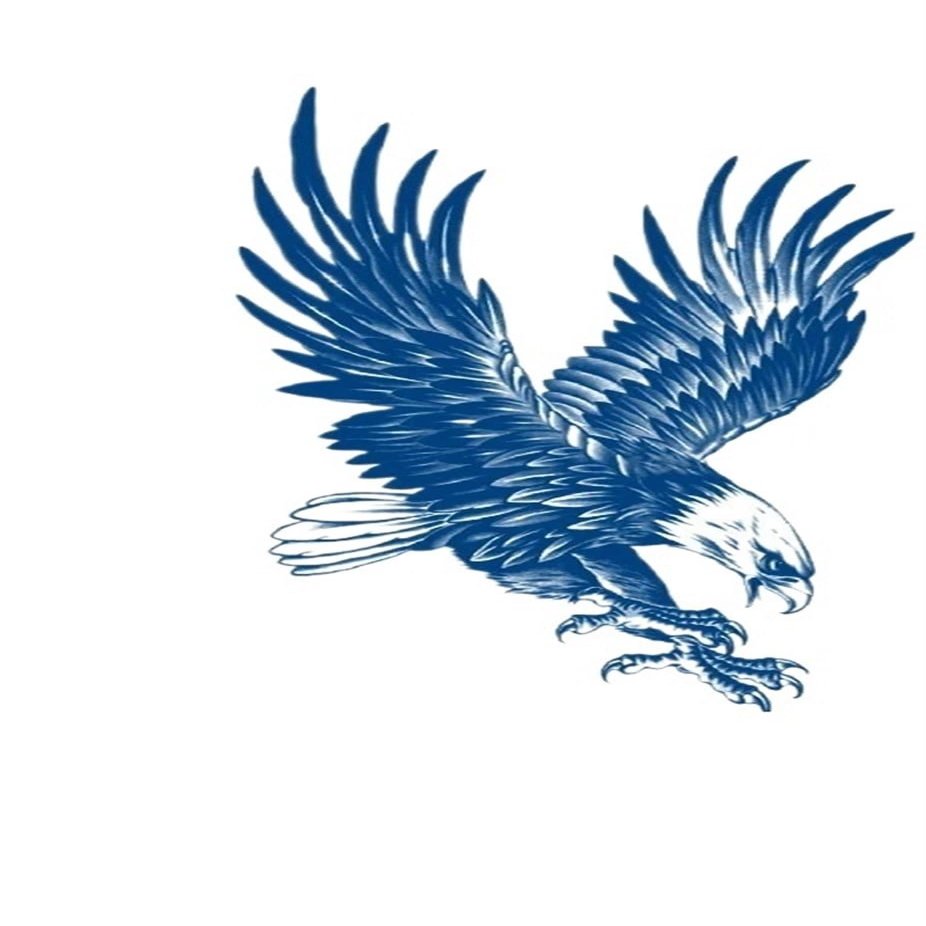2PCS Long Lasting Tattoo Juice Ink Waterproof Temporary Tattoos Men Women Body Art Eagle Wing Tattoo(CH01)
