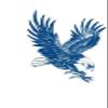 2PCS Long Lasting Tattoo Juice Ink Waterproof Temporary Tattoos Men Women Body Art Eagle Wing Tattoo(CH01) view 1