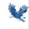 2PCS Long Lasting Tattoo Juice Ink Waterproof Temporary Tattoos Men Women Body Art Eagle Wing Tattoo(CH01) view 2