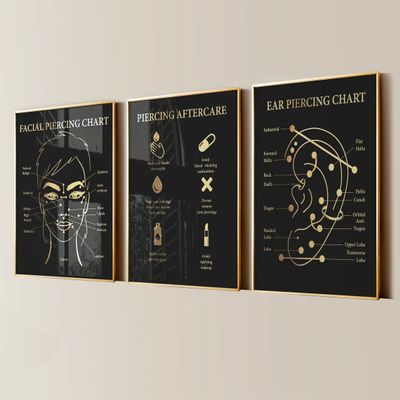 Ear Piercing Chart Facial Piercing Canvas Painting 3 Pieces Piercing Aftercare Body Piercer Posters Prints Wall Art Pictures for Piercing Salon Decor with Wooden Inner Frame