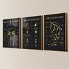 Ear Piercing Chart Facial Piercing Canvas Painting 3 Pieces Piercing Aftercare Body Piercer Posters Prints Wall Art Pictures for Piercing Salon Decor with Wooden Inner Frame view 1