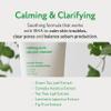 Face Republic Acne Clearing - Calming Acne Salicylic Cleanser + Calming Blemish Madecassoside Serum + Calming Spot Oint Gel | For Oily, Acne skin, Korean skin care view 3