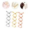 HAPINARY 30pcs Spiral Hair Bun Clips Hair Bun Styling Tools for Women Girls for Daily Wear Parties Weddings Yoga view 2