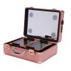 Makeup Train Case With 4 LED Lights & Mirror,Professional Cosmetic Organizer Box, Large Capacity Zoned Storage,Multi-Functional Rolling Makeup Organizer For Makeup Artist,Hairstylist (Rose Gold) view 1