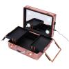 Makeup Train Case With 4 LED Lights & Mirror,Professional Cosmetic Organizer Box, Large Capacity Zoned Storage,Multi-Functional Rolling Makeup Organizer For Makeup Artist,Hairstylist (Rose Gold) view 3