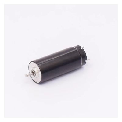 13mm 1332 DC 12V 5-Pole Rotor Coreless Electronic Starter for Grinding Machine Rotary Tattoo Machine(B D-Shaft)