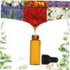TOVINANNA 10pcs Glass Dropper Bottles Reusable Storage for Blends Massage Oils and Perfumes Capacity Easy to Control Dosage for Travel and Daily Use view 2