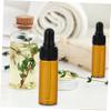 TOVINANNA 10pcs Glass Dropper Bottles Reusable Storage for Blends Massage Oils and Perfumes Capacity Easy to Control Dosage for Travel and Daily Use view 3