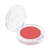 FOMIYES Portable Single Color Blush Palette Matte Finish Cheek Makeup for Natural Look Long-lasting Blusher Compact Beauty for Daily Use view 1