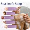 Baudelaire Loofa Duo Set - Exfoliating Sea & Grapefruit Soap Bars - Natural Fragrance - Hydrating & Moisturizing Triple-Milled Luxury - 10.5 Oz Each view 2