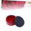BIUDECO Lipstick Powder Shimmering Highlight for Lips Safe Ingredients Easy Application for Custom Makeup view 4