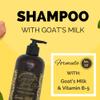 Black Canyon Home and Body Golden Goat Farms Amber Cinnamon Scented Shampoo and Conditioner Set with Goat Milk, 16 Oz view 2