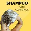 Black Canyon Home and Body Golden Goat Farms Amber Cinnamon Scented Shampoo and Conditioner Set with Goat Milk, 16 Oz view 4