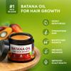 Batana Oil for Hair Growth - 100% Raw & Organic Unrefined Batana Oil - Cold Pressed Hair Mask for Scalp Health, Thicker Hair & Split Ends Repair - Natural & Pure (4.23 oz) view 3