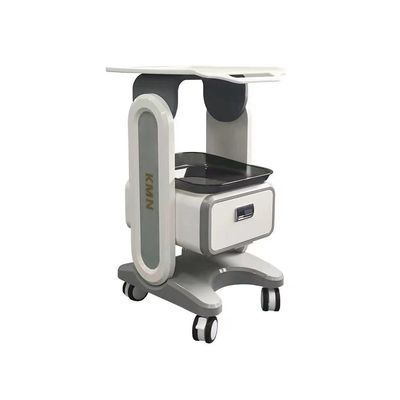 Beauty Facial Trolley Salon Spa Organizer Esthetician Rolling Cart with Drawer 4 Wheels Large Storage Space Furniture Vertical ETTRO091