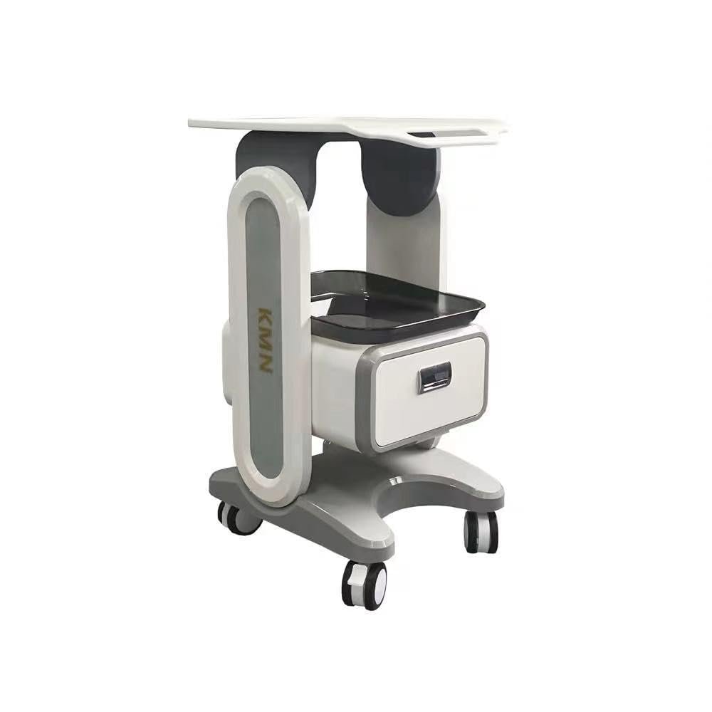 Beauty Facial Trolley Salon Spa Organizer Esthetician Rolling Cart with Drawer 4 Wheels Large Storage Space Furniture Vertical ETTRO091