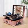Eleeferri Makeup Train Case, Portable Makeup Station,Travel Cosmetic Trolley w/Stand, Rolling Cosmetic Organizer Box w/Light Mirror for Professional Barber, Pedicure, Manicure Makeup Artist Pink view 2