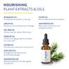 Routine Wellness Hair Treatment Serum for Thinning Hair - Plant-Based Rosemary, Tea Tree & Argan Oils Blend for Strength, Shine & Softer Hair - Clean Ingredients, All Hair Types - 30ml (Pack of 2) view 2
