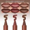 2 in 1 Gradient Lip Liner Lipstick Combo Set,3 Colors Matte Lipstick Nude Dark Brown Red Lip Crayon Lipliner Pencil,High Pigmented Long Lasting Women Liogloss Makeup for Gradual Ombre Effect,01+03+05 view 3